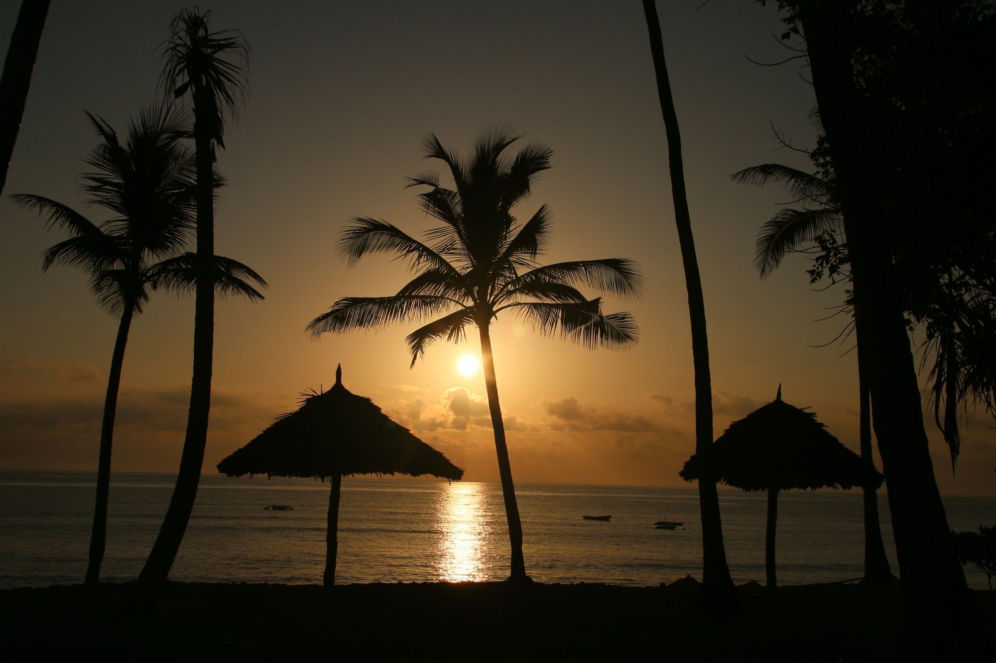 Blue Moon Resort Jambiani  Buitenkant foto