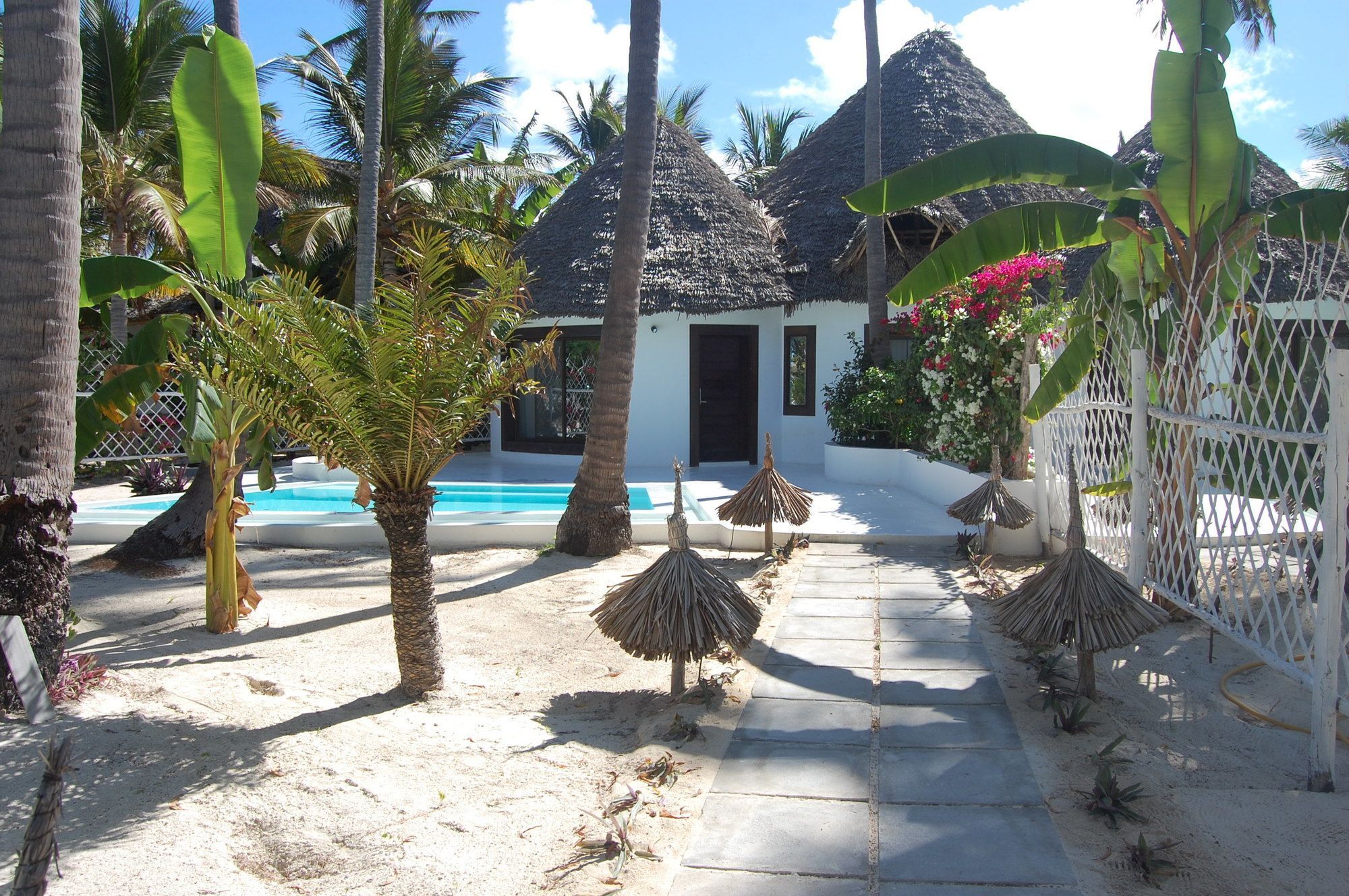 Blue Moon Resort Jambiani  Buitenkant foto