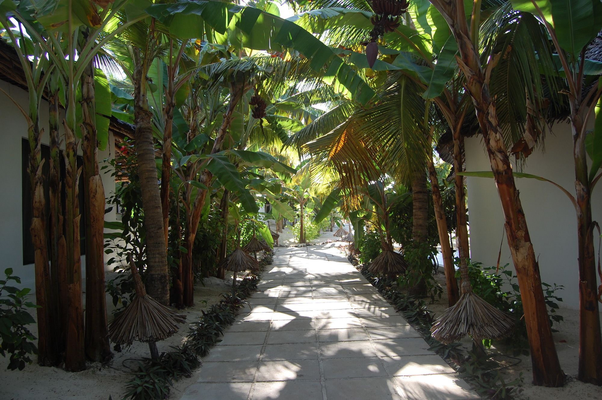 Blue Moon Resort Jambiani  Buitenkant foto