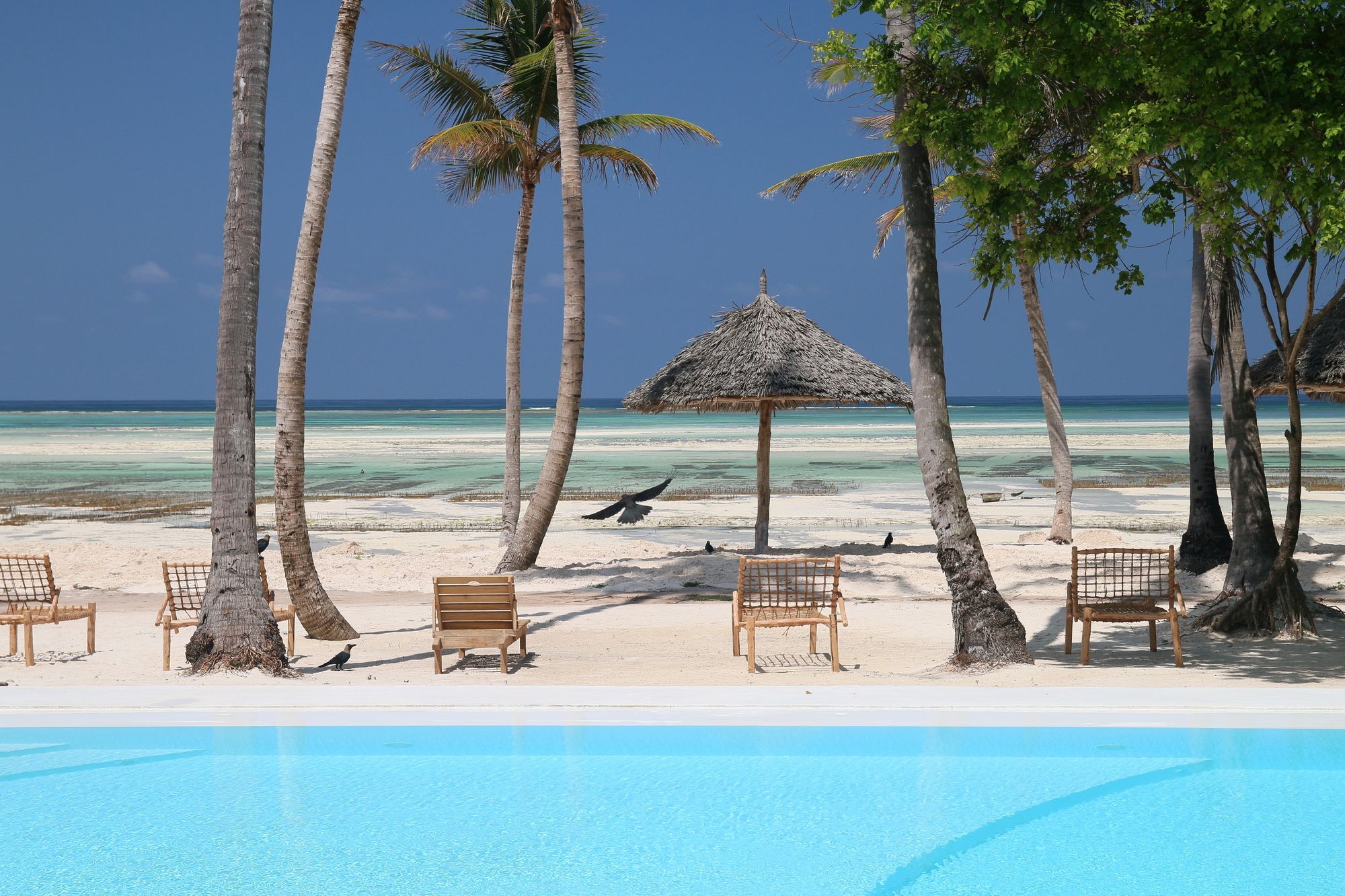 Blue Moon Resort Jambiani  Buitenkant foto