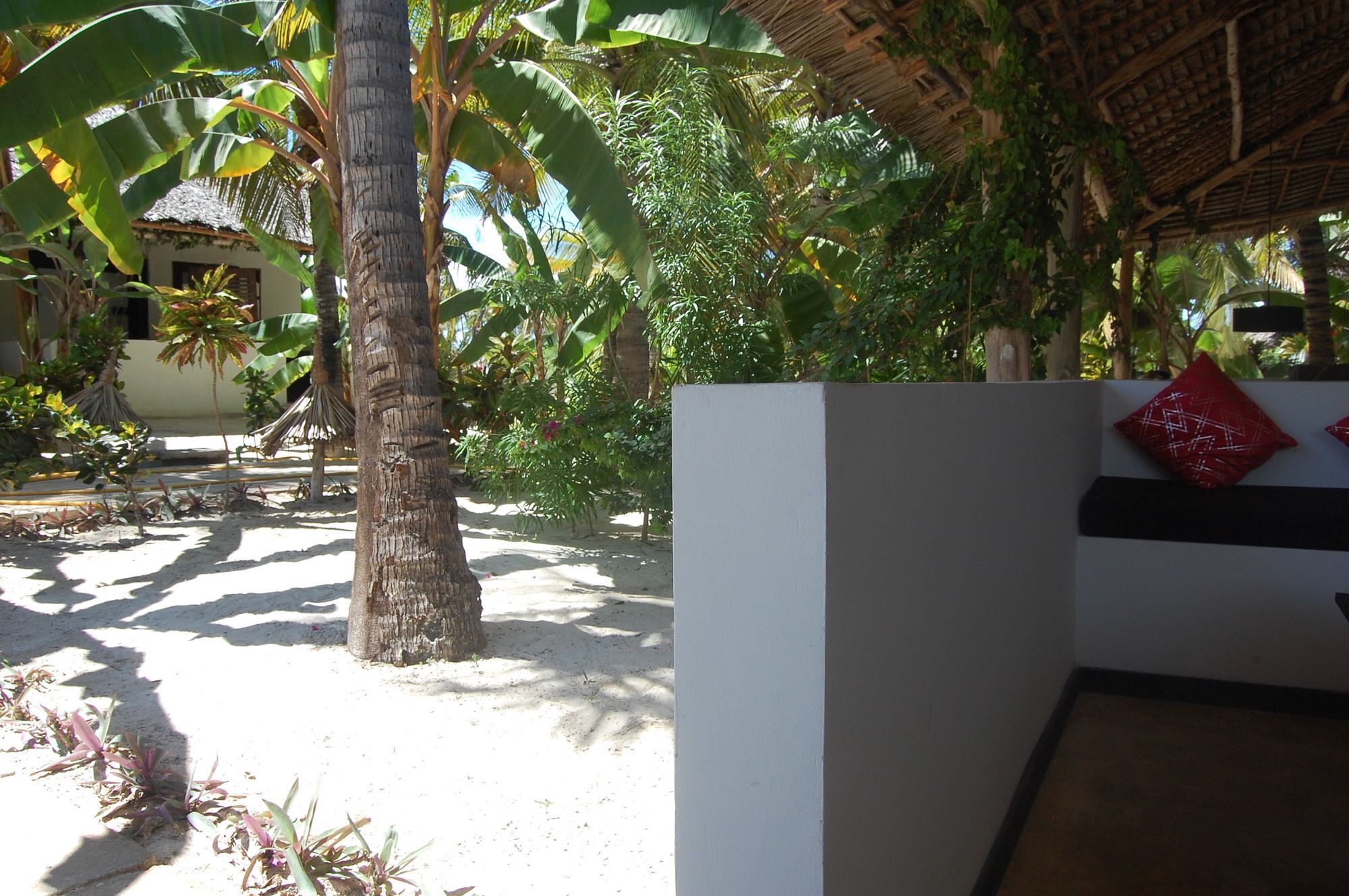 Blue Moon Resort Jambiani  Buitenkant foto